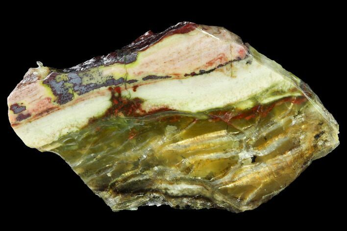 Chatoyant, Polished Pietersite Section - Arizona #146426